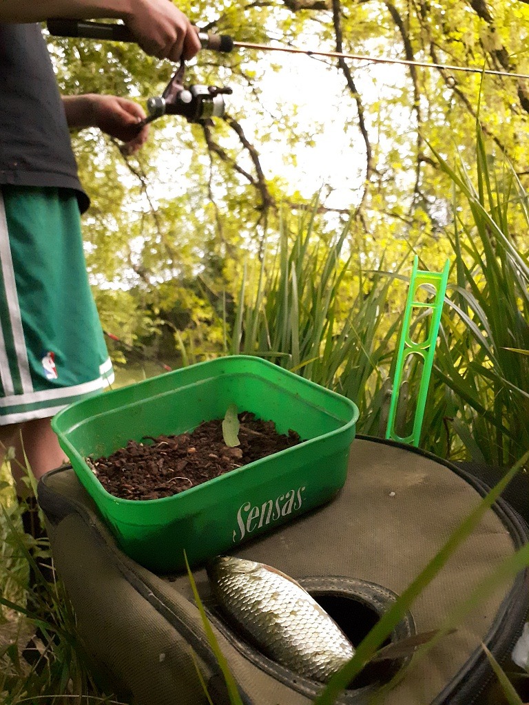PECHE EN RIVIERE AUVIGNON