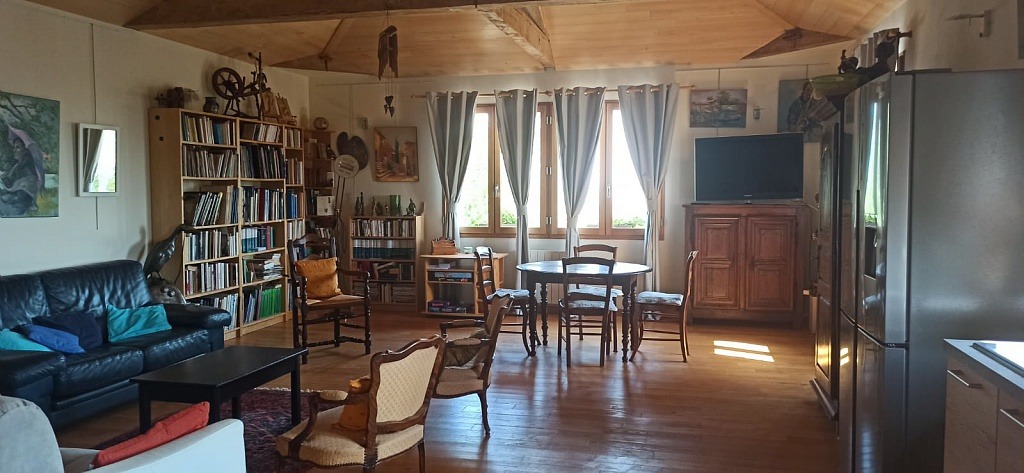 Piece principale avec cuisine équipée et canapé lit