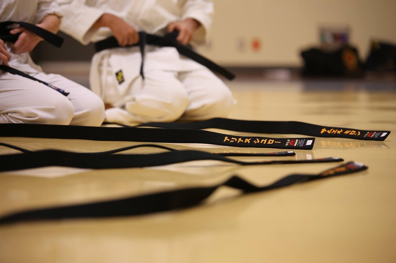 DOJO_Valence-sur-Baïse