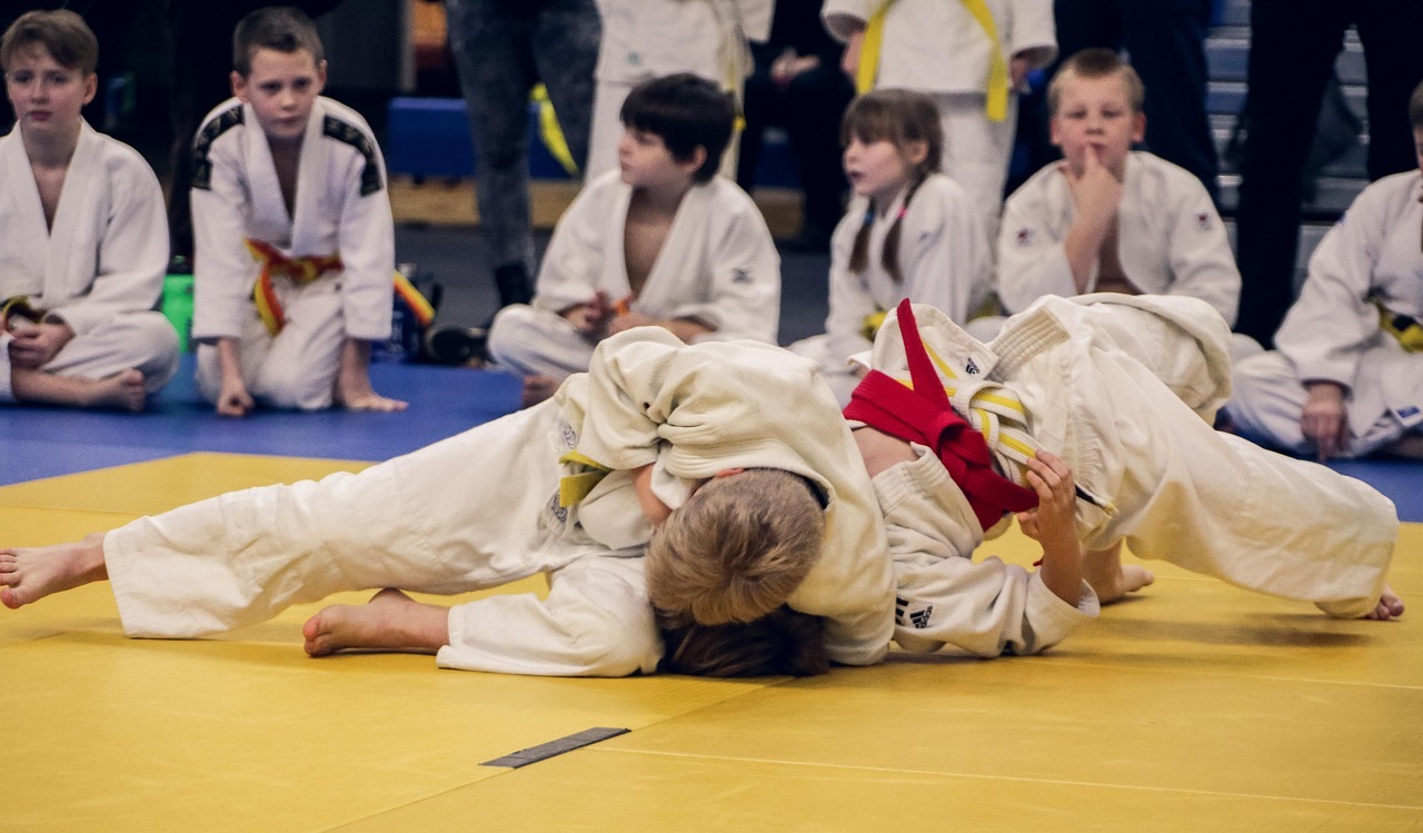 Hall des sports de combat_Condom
