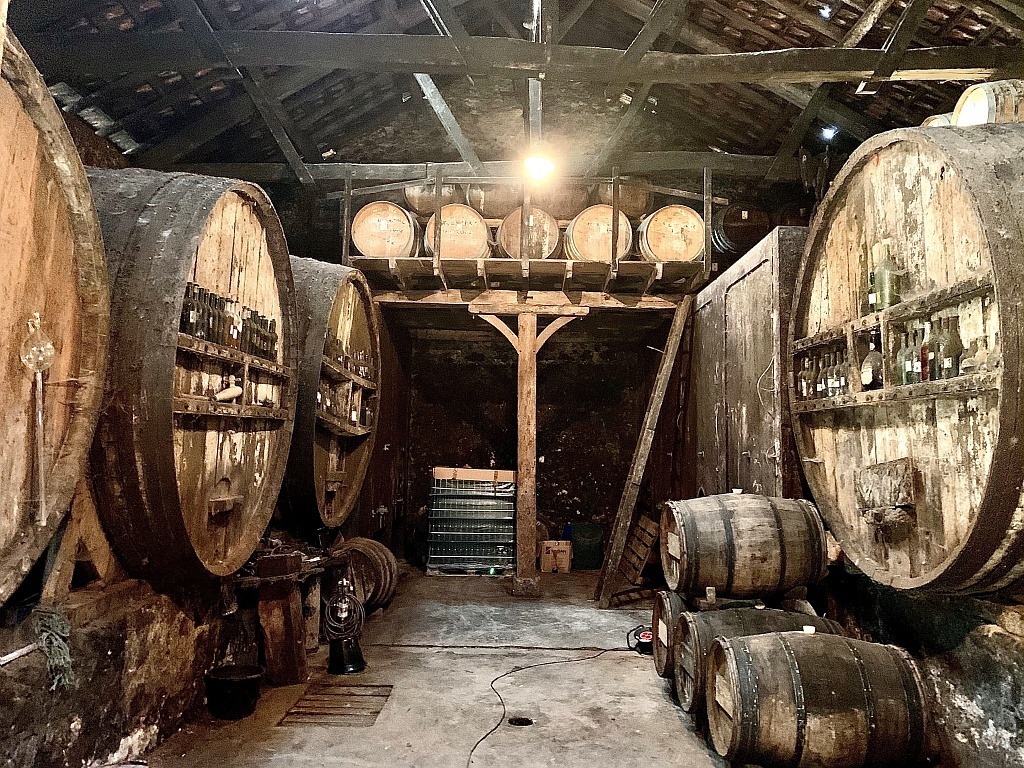 Repas chez le producteur - Vignobles Ladevèze_Montréal