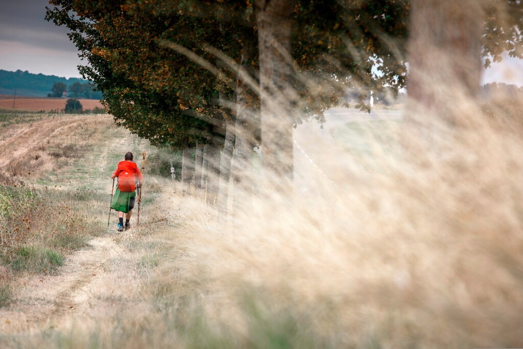 Entre La Romieu et Castelnau-sur-l'Auvignon