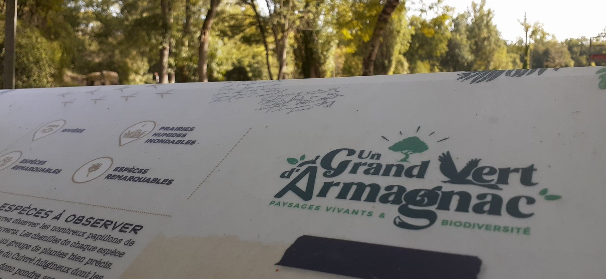 Un Grand Vert d'Armagnac