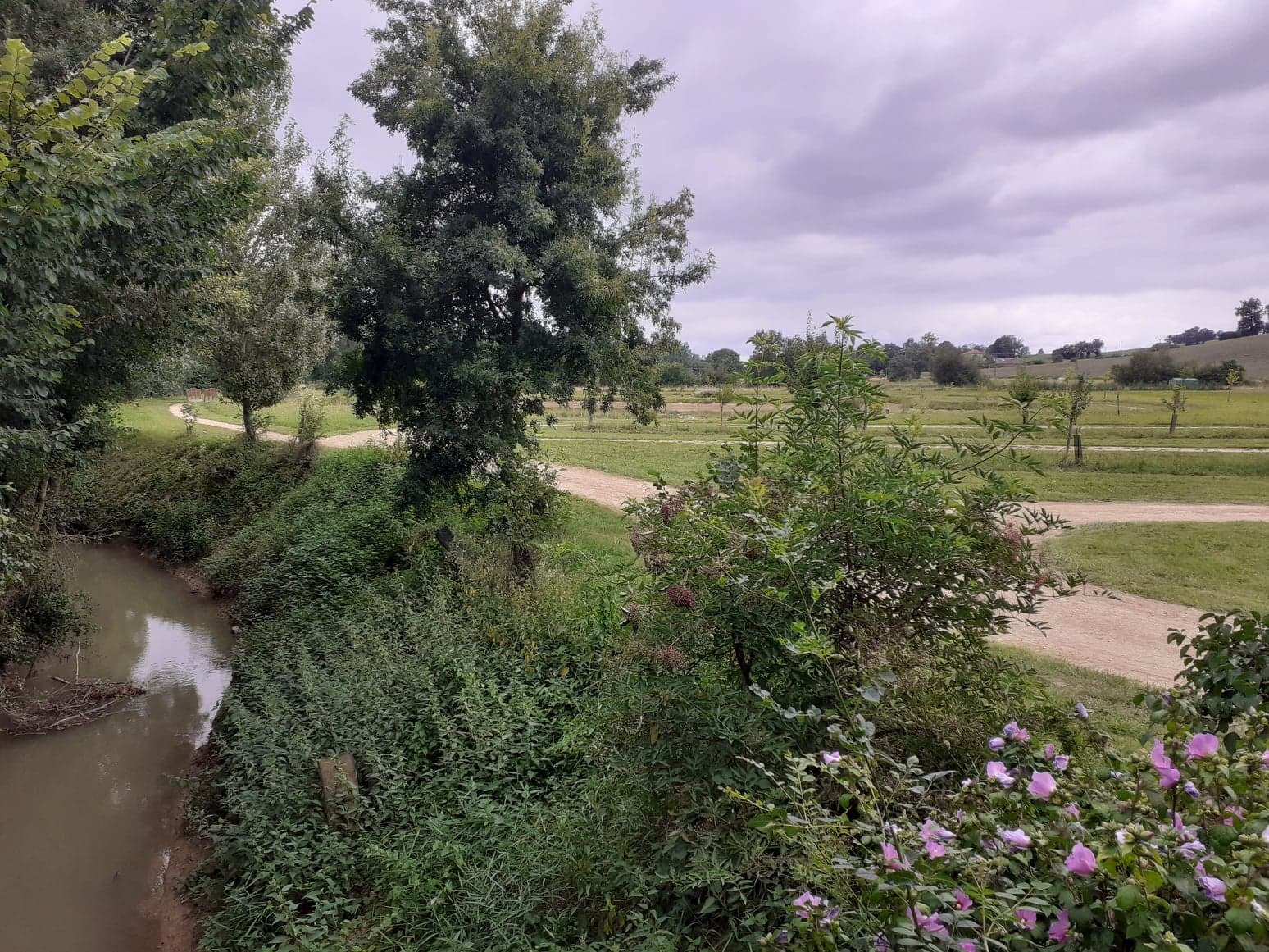 Plan d'eau floral de Fourcès