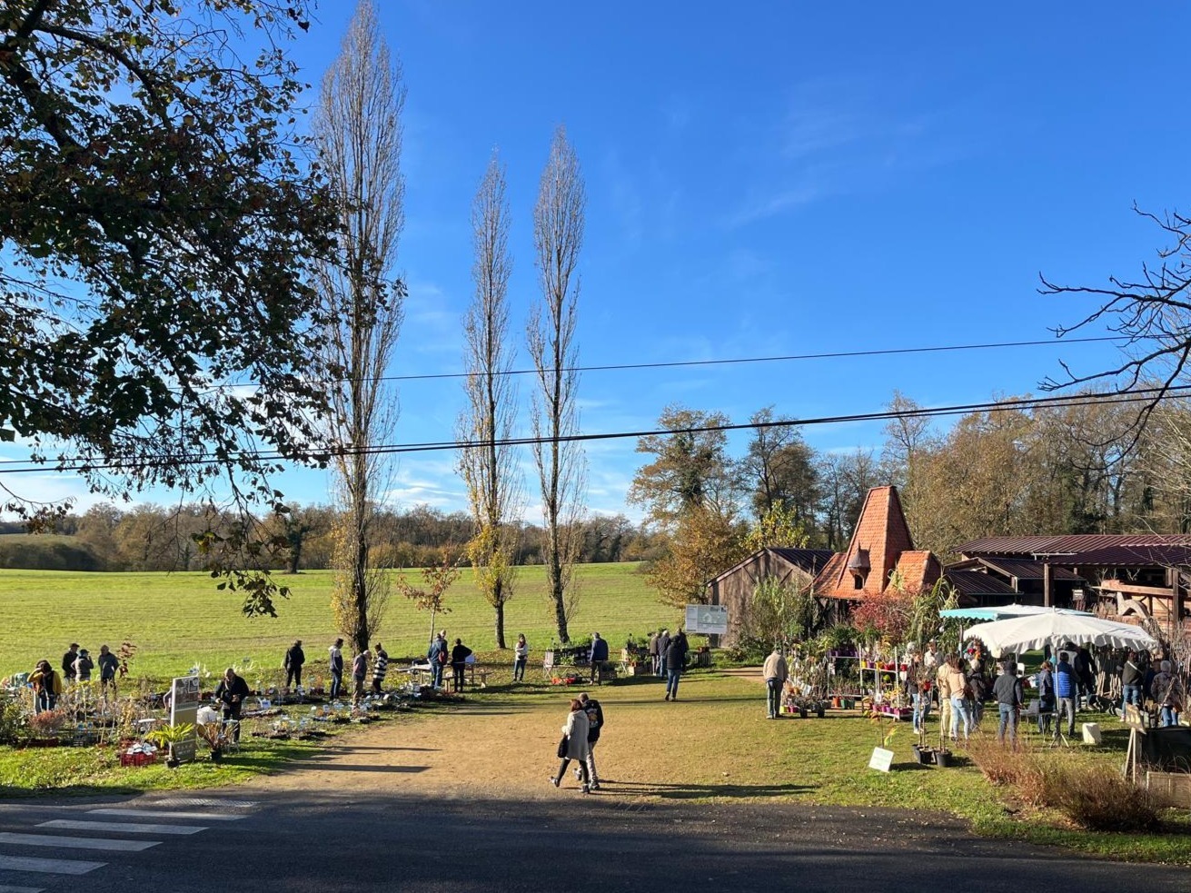 Marché aux plantes