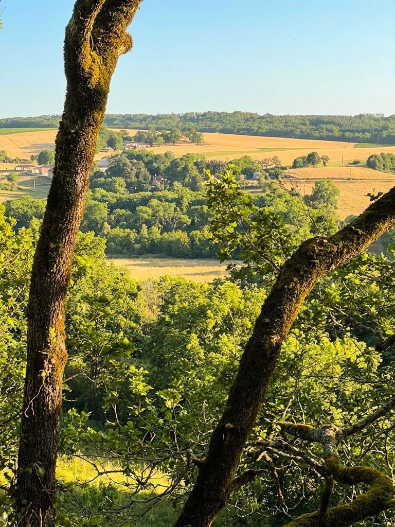 Domaine La Védence : La Cabane Tchanquée_Marsolan