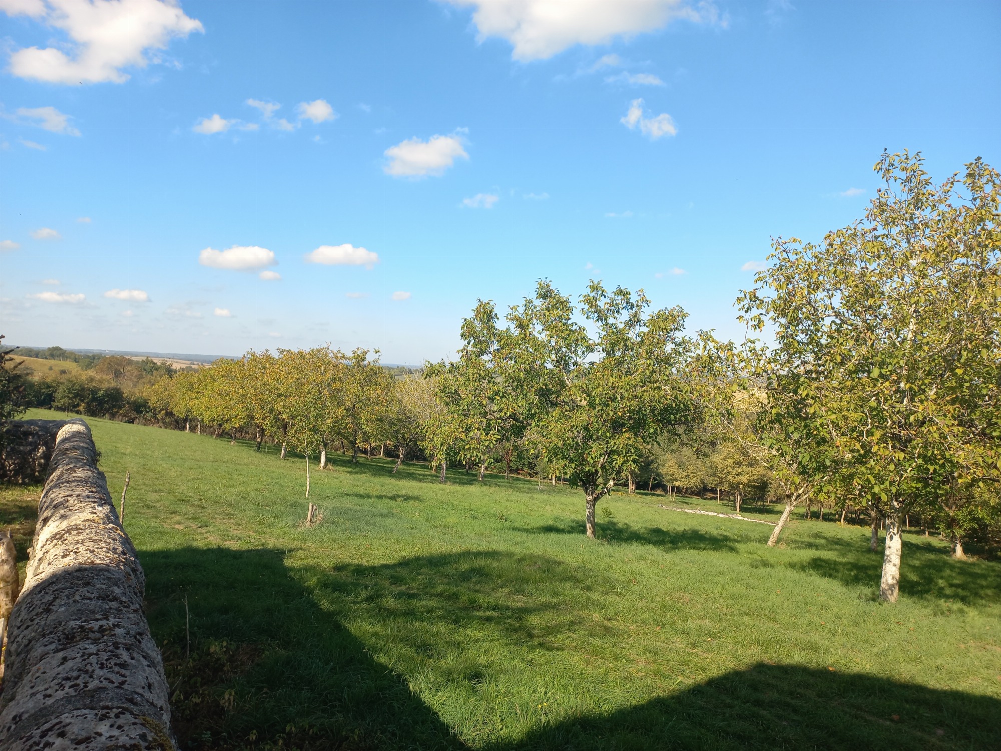 Domaine de Nogueres_Lauraët