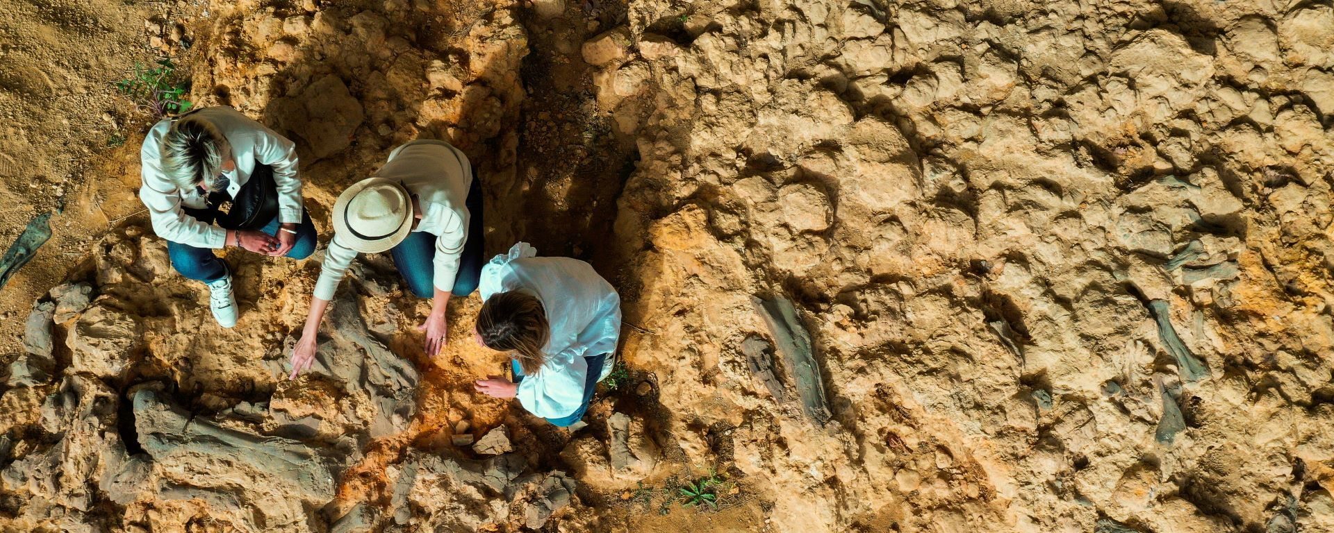 Béon paleontological site