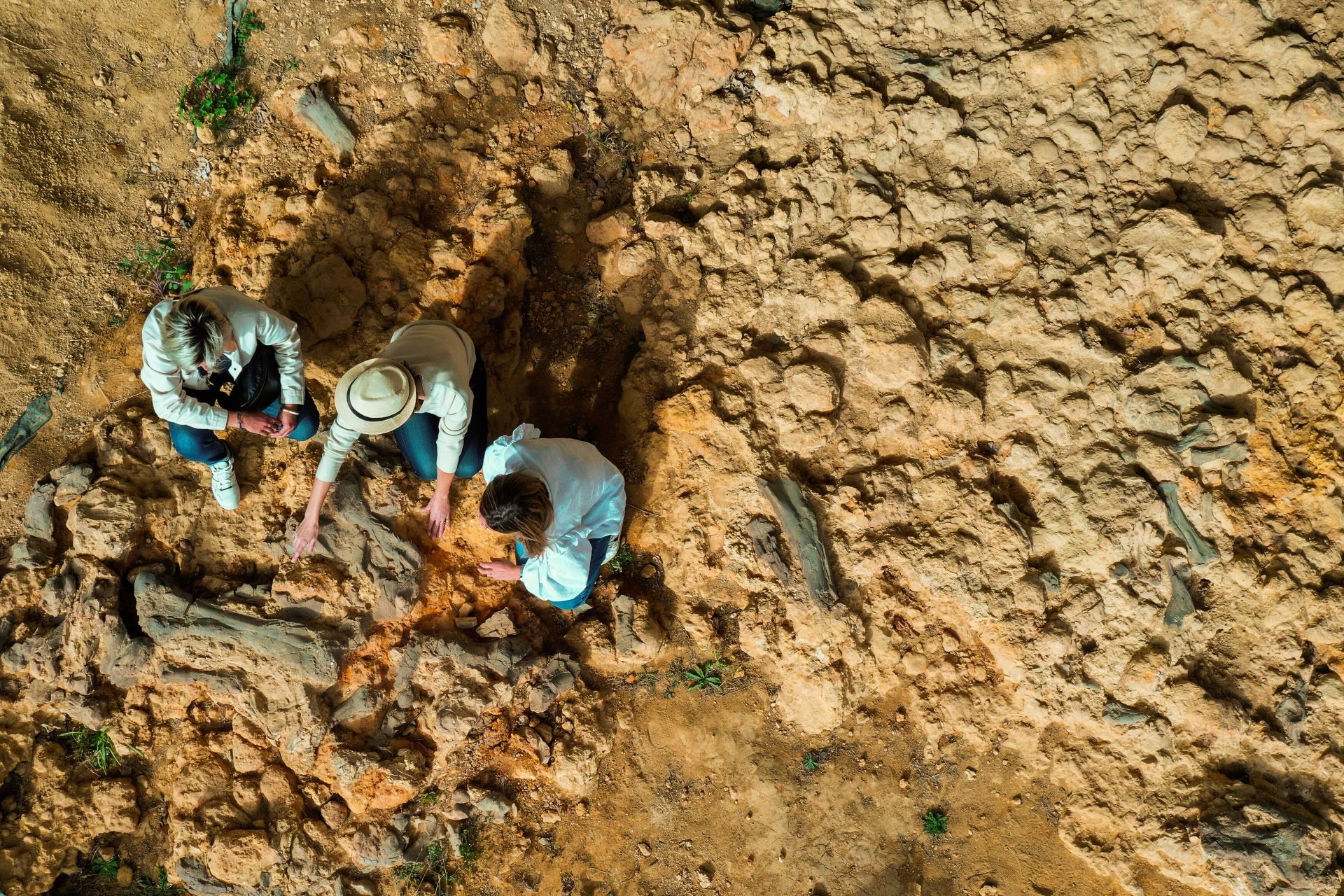 Béon paleontological site