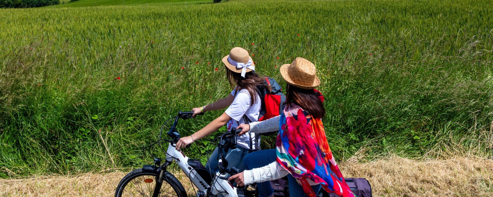 Vélos - cyclotourisme dans les champs de blés et de coquelicot Gers- Armagnac