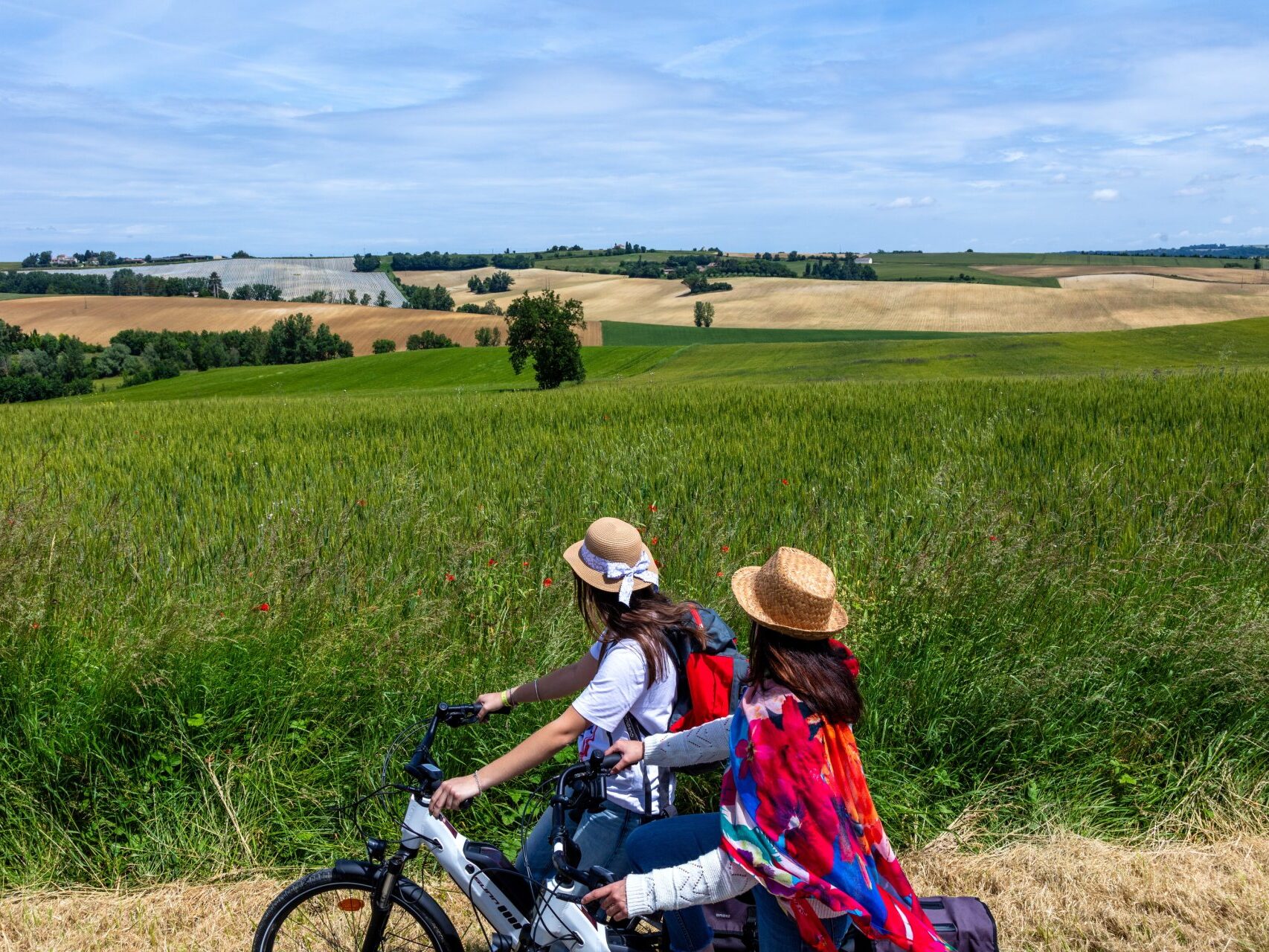 Vélos - cyclotourisme dans les champs de blés et de coquelicot Gers- Armagnac
