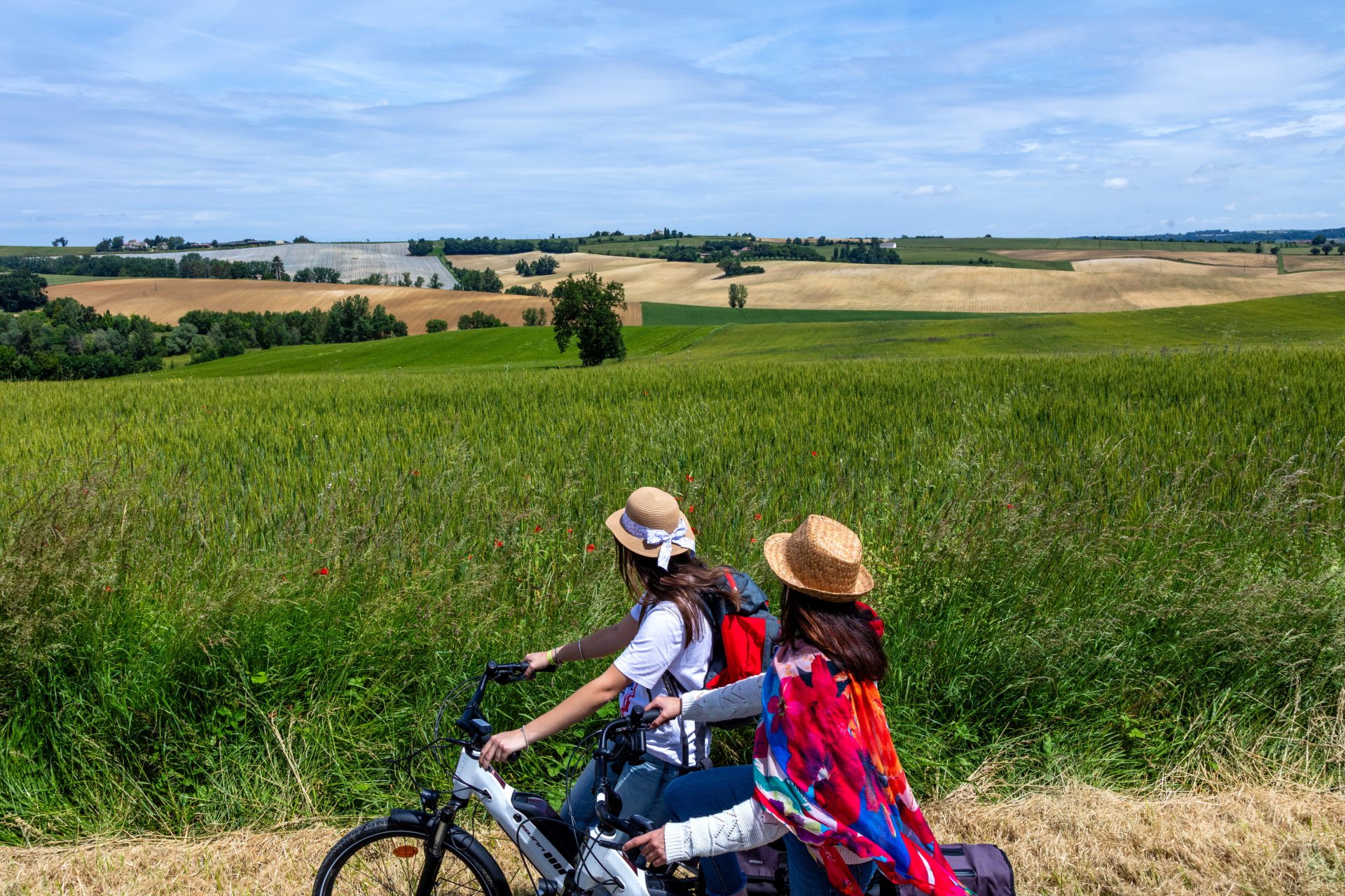 Vélos - cyclotourisme dans les champs de blés et de coquelicot Gers- Armagnac