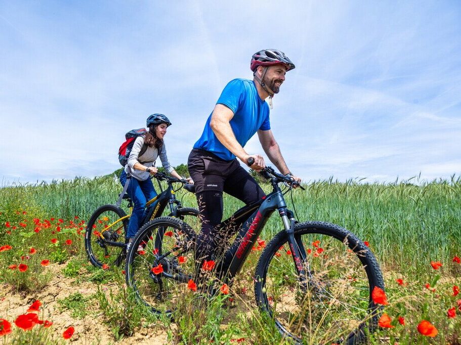 Balade en VTT dans le Gers Armagnac