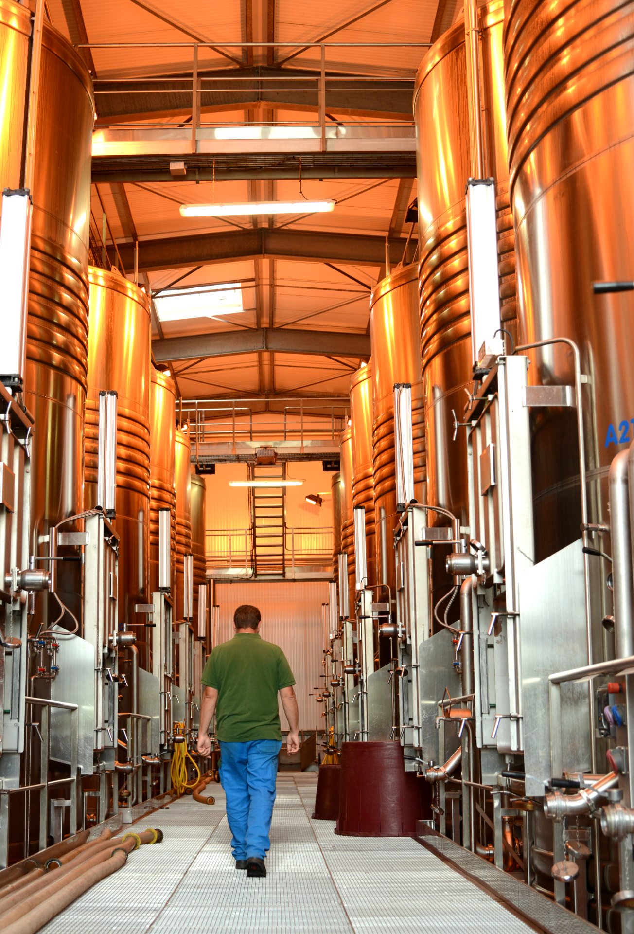 Vins des côtes de Gascogne - Gers Armagnac - cave coopérative de Condom