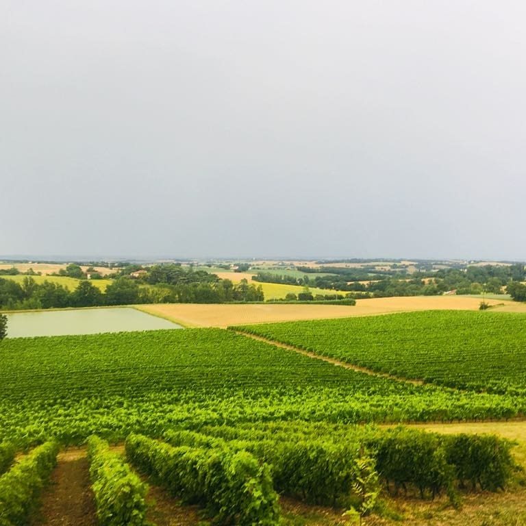 Embidoure