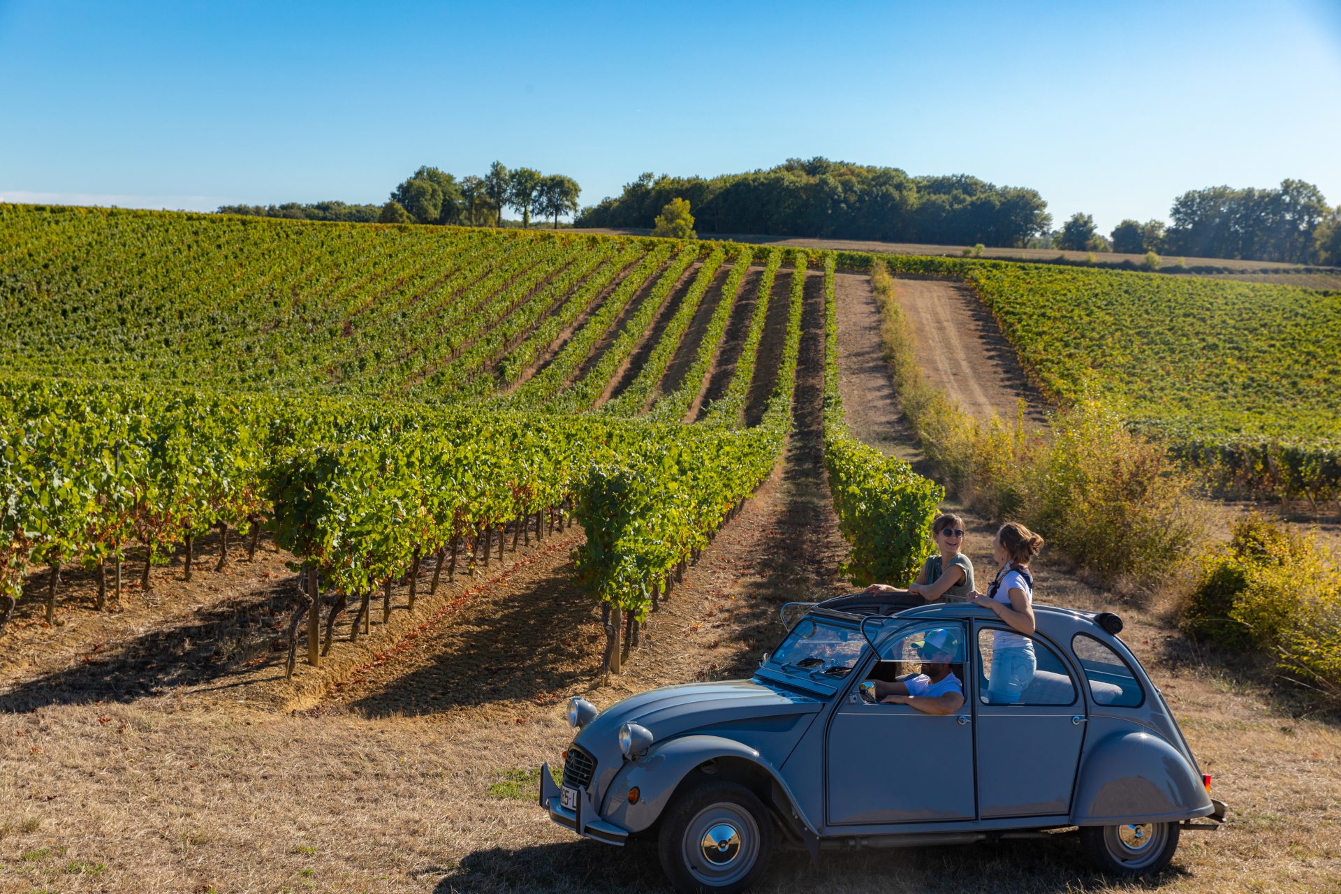 Se déplacer - les vignes du Gers Armagnac
