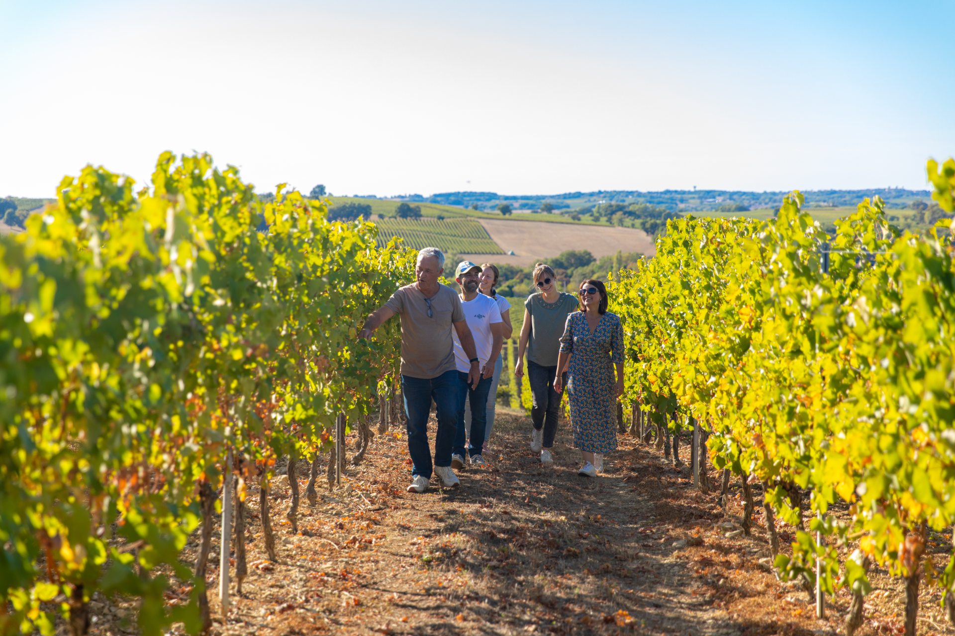 Une virée dans le vignoble Armagnac Gascogne