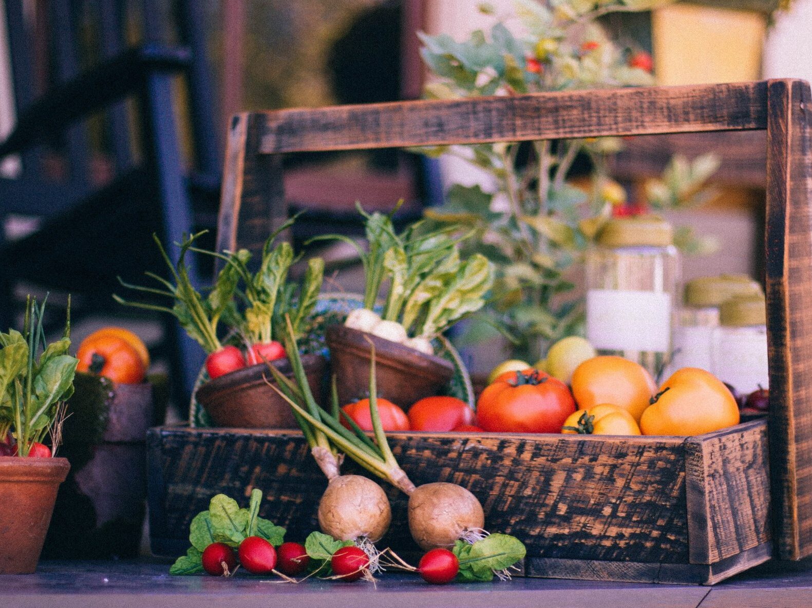 Produits de la ferme et des champs -ail, melon, pruneaux...Gers - Armagnac