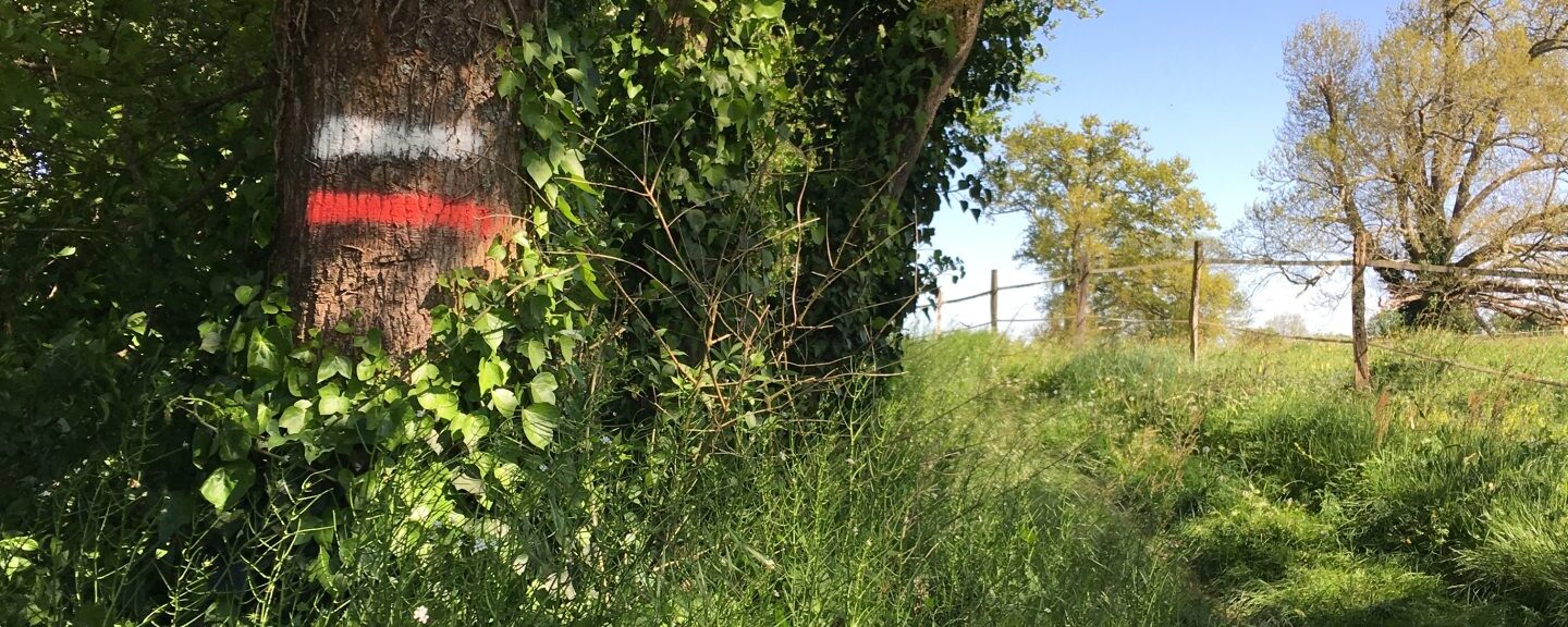 Chemin de Saint-Jacques de Compostelle dans le Gers - Castelnau sur l'auvignon