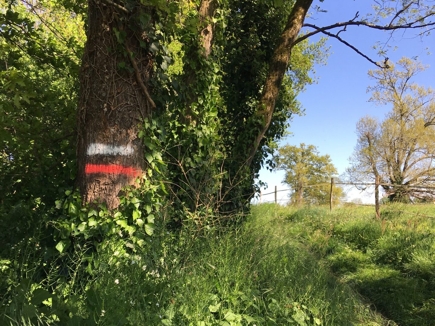 Chemin de Saint-Jacques de Compostelle dans le Gers - Castelnau sur l'auvignon