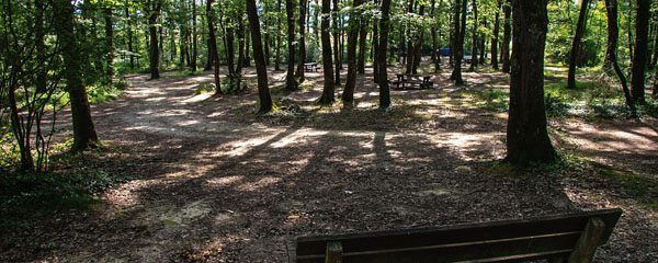 forets du Gers