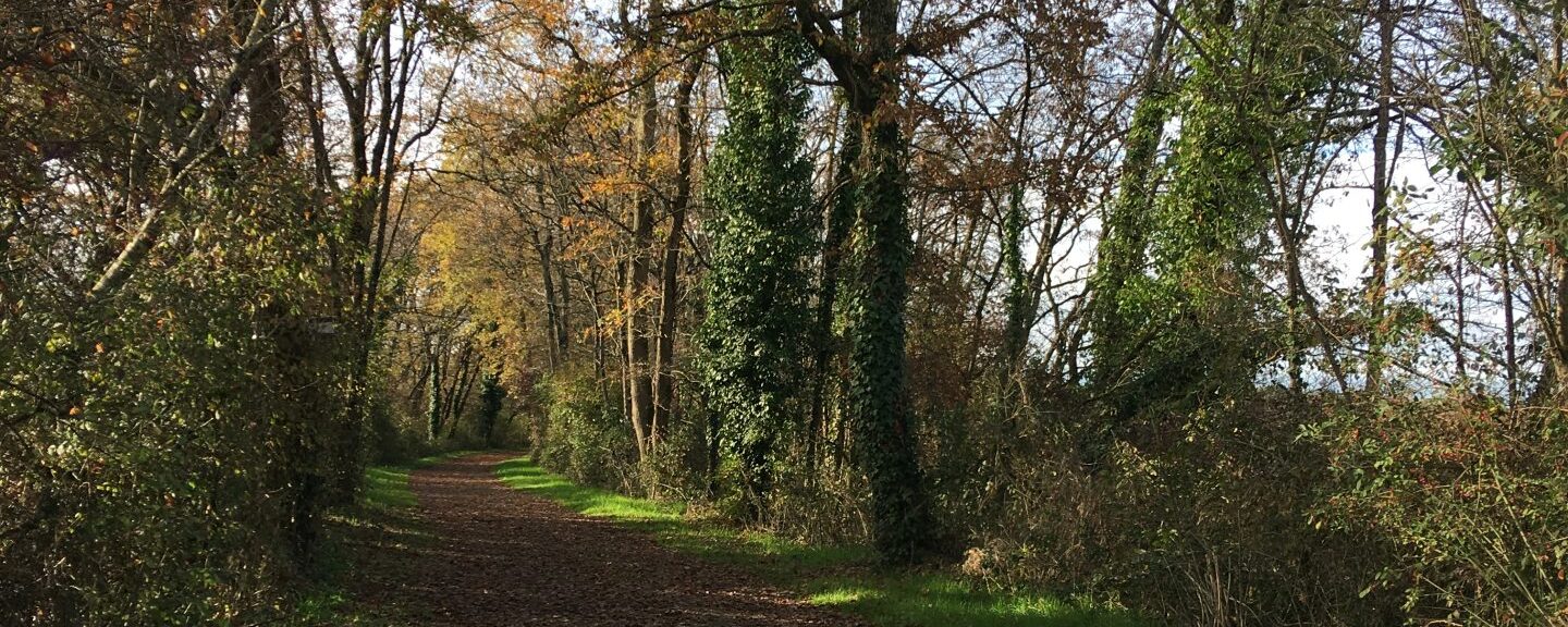 Voie verte de l'Armagnac - Chemin de Saint-Jacques de compostelle dans le Gers