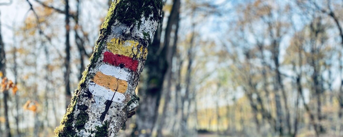 Radnonnées Balisées à Condom, La Romieu, Lectoure, Fleurance, Larressigne