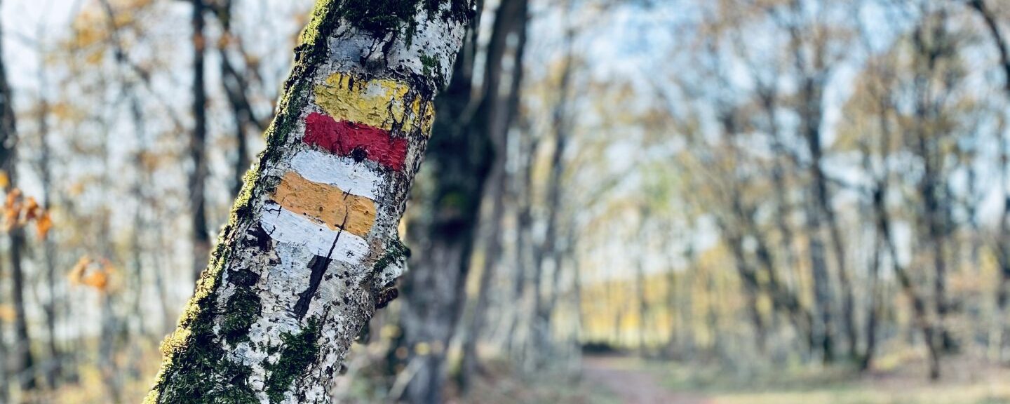 Radnonnées Balisées à Condom, La Romieu, Lectoure, Fleurance, Larressigne