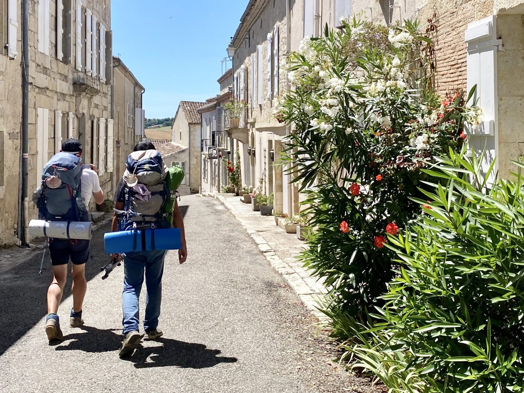 La Romieu chemins de Saint-Jacques de Compostelle dans le de Gers
