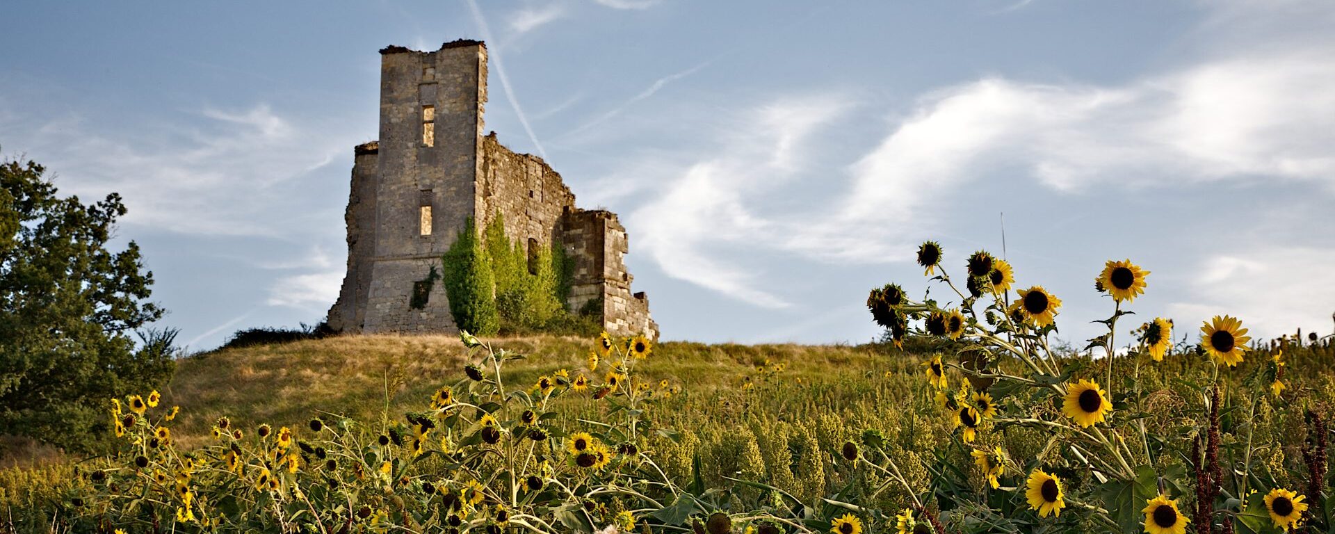 Castet arrouy - Sur le chemin de Saint-Jacques de Compostelle dans le Gers