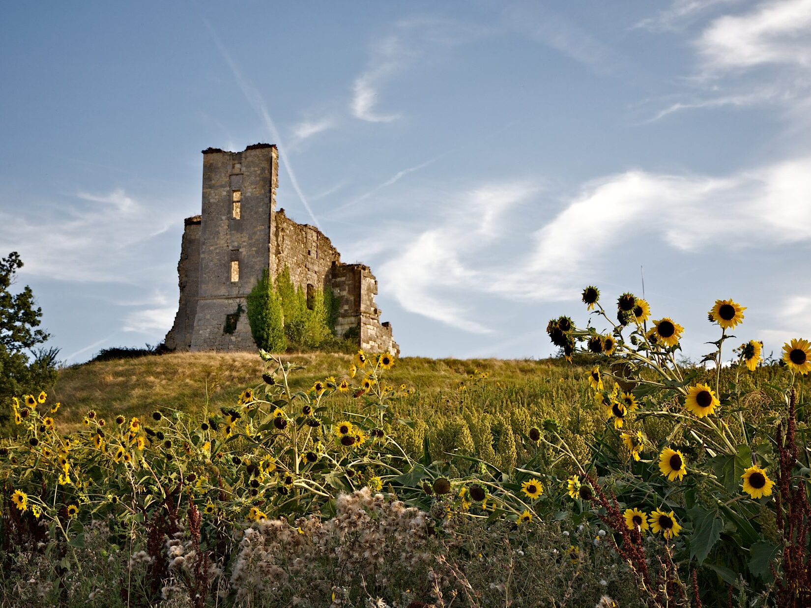 Castet arrouy - Sur le chemin de Saint-Jacques de Compostelle dans le Gers