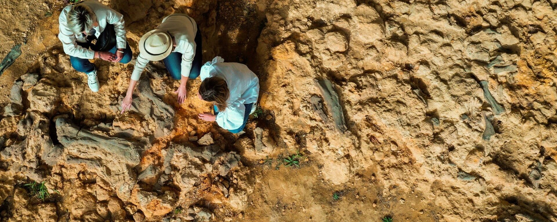 Site paléontologique de Béon
