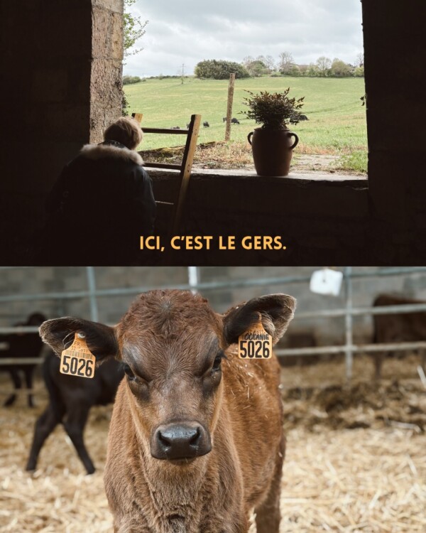 Ce post est pour vous, les épicuriens....