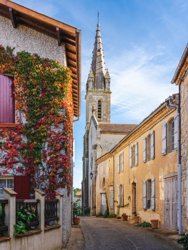 🔎Sauriez-vous reconnaître ce...