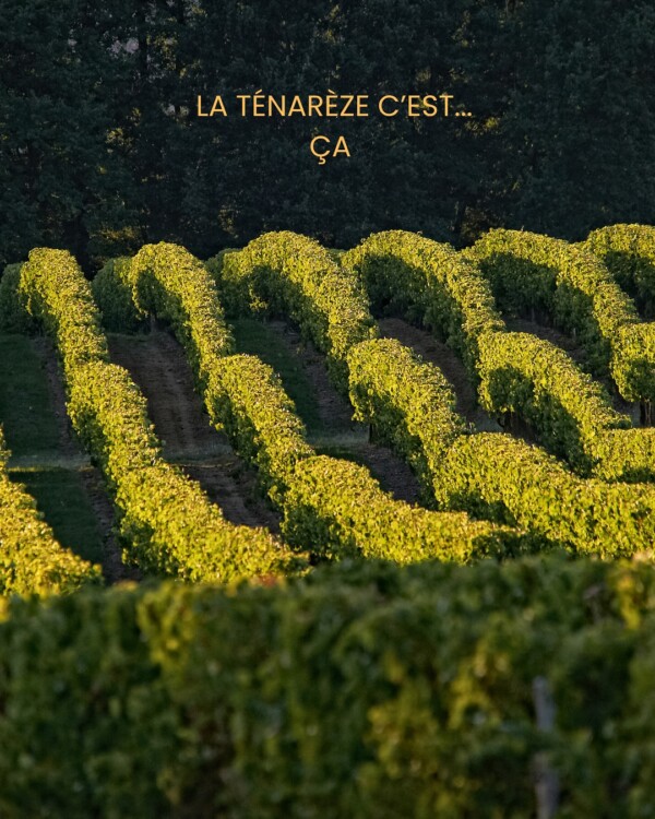 La Ténarèze…c’est tout ça...