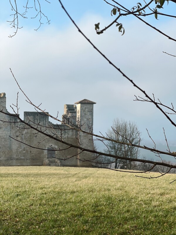 2025 en Ténarèze…🍇

Des paysages...