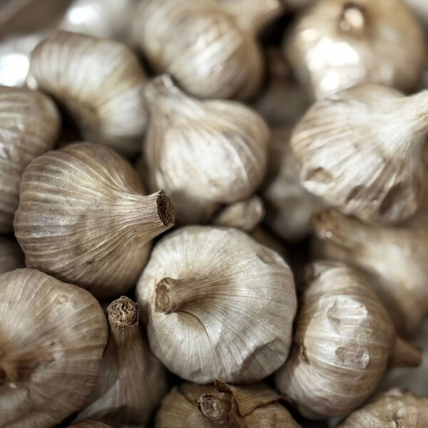 Une visite #gourmande autour de...