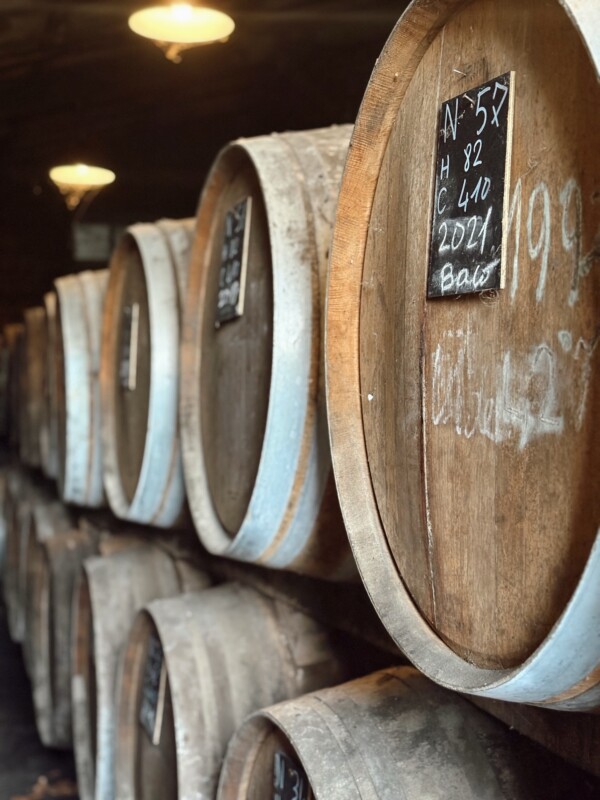 Passage au chai en pleine...