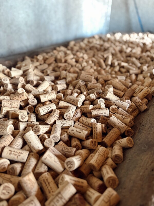 Entre barriques et odeurs boisées…...