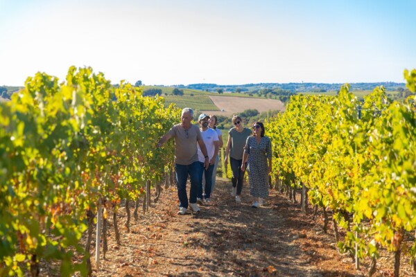 🍇 Le bonheur est dans les prés…ou...